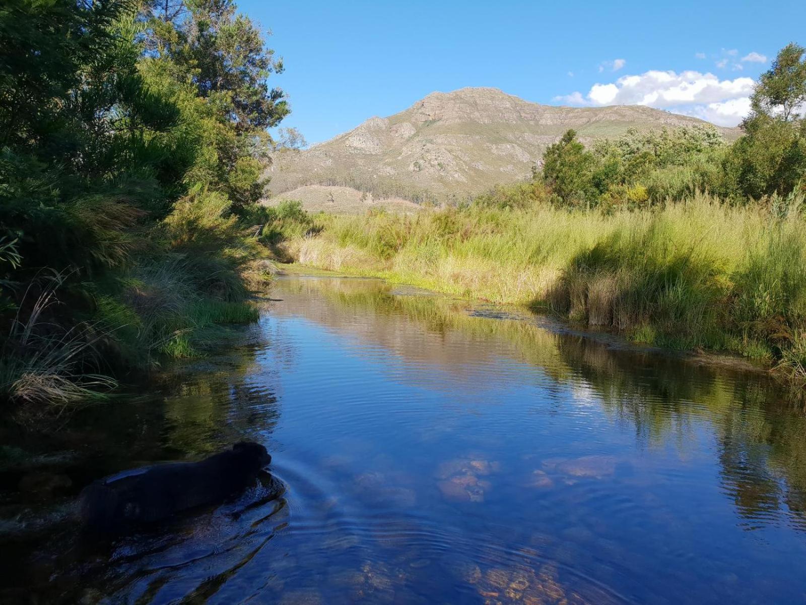 Villa La Ferme Guest Farm - Hot Tubs Franschhoek Esterno foto